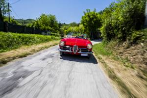 Image 45/46 of Alfa Romeo Giulietta Spider Veloce (1956)