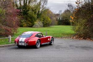 Afbeelding 21/50 van AC Cobra 289 (2000)