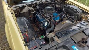 Image 26/34 of Lincoln Continental Mark IV (1974)
