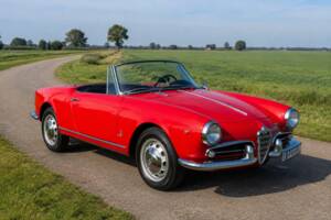 Bild 1/8 von Alfa Romeo Giulietta Spider (1961)