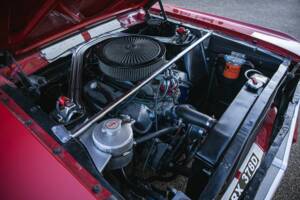 Bild 28/50 von Ford Shelby GT 350 (1966)