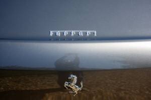 Image 18/50 of Ferrari 612 Scaglietti (2008)