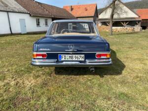 Image 19/52 of Mercedes-Benz 250 S (1967)