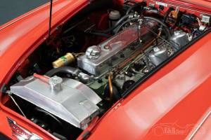 Immagine 5/19 di Austin-Healey 3000 Mk III (BJ8) (1965)