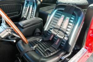 Image 25/50 of Ford Shelby GT 350 (1965)