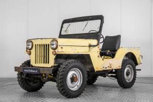 Bild 1/50 von Willys CJ-3B (1955)