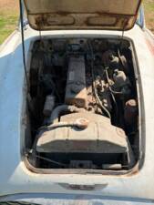 Bild 9/22 von Austin-Healey 3000 Mk II (BN7) (1960)