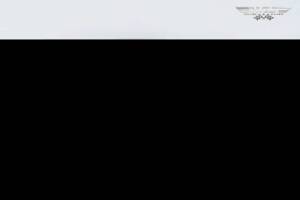 Bild 6/16 von Alfa Romeo Giulia 1750 GT Am (1969)