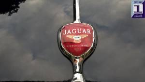 Image 7/64 of Jaguar XK 140 FHC (1956)