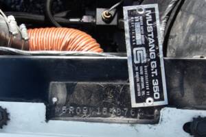 Afbeelding 33/48 van Ford Shelby GT 350 (1965)