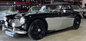 Bild 2/29 von Austin-Healey 3000 Mk I (BN7) (1959)
