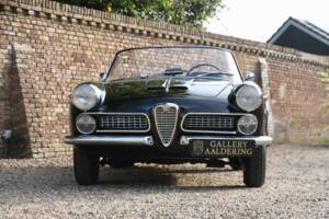 Bild 30/50 von Alfa Romeo 2000 Spider (1961)