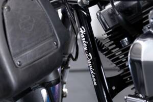 Image 36/50 of Harley-Davidson DUMMY (2010)