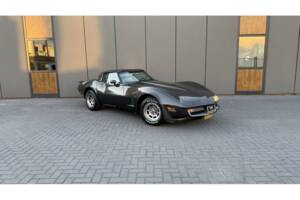 Bild 1/14 von Chevrolet Corvette Sting Ray (1981)