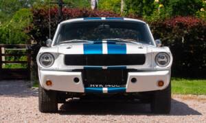 Image 2/54 of Ford Shelby GT 350 (1965)