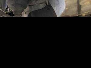 Image 32/89 of Mercedes-Benz SL 500 (2002)