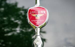 Afbeelding 39/59 van Jaguar XK 140 SE DHC (1955)