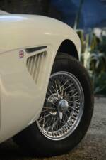 Immagine 7/8 di Austin-Healey 3000 Mk III (BJ8) (1967)