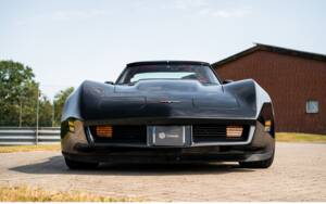 Immagine 6/42 di Chevrolet Corvette Sting Ray (1980)