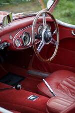 Bild 15/30 von Austin-Healey 3000 Mk I (BN7) (1959)