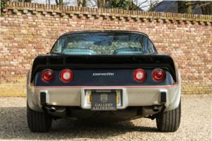 Image 39/50 of Chevrolet Corvette Indy Pace Car (1978)