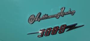 Immagine 7/48 di Austin-Healey 3000 Mk II (BT7) (1962)