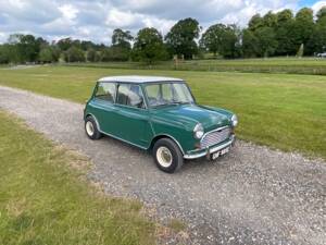 Bild 9/41 von Morris Mini Cooper 998 (1964)