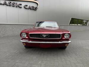 Bild 8/47 von Ford Shelby GT 350 (1966)