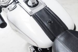 Image 20/34 of Harley-Davidson DUMMY (2002)