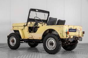 Bild 2/50 von Willys CJ-3B (1955)