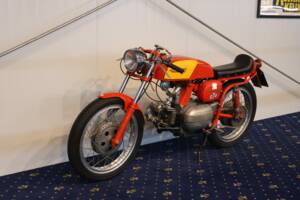 Image 18/27 of Aermacchi Ala Verde (1962)