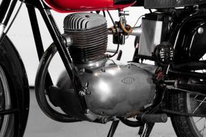 Image 36/50 of Gilera DUMMY (1954)