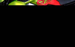 Bild 60/99 von Ducati Streetfighter V4 Lamborghini (2024)