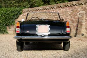 Bild 38/50 von Alfa Romeo 2000 Spider (1961)