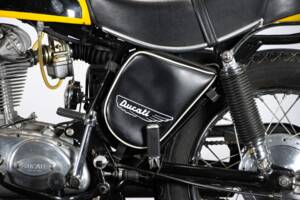 Immagine 15/50 di Ducati 350 Scrambler (1971)