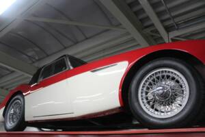 Bild 7/50 von Austin-Healey 3000 Mk I (BT7) (1961)