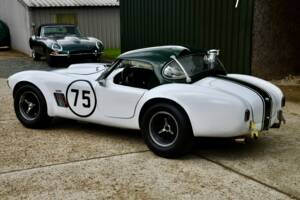 Immagine 3/9 di AC Shelby Cobra 289 (1960)