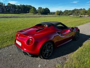 Bild 12/47 von Alfa Romeo 4C Spider (2015)