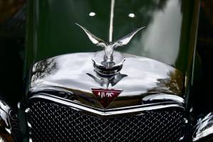 Image 15/50 of Alvis Speed 20 (1933)