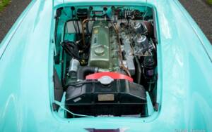 Immagine 19/48 di Austin-Healey 3000 Mk I (BN7) (1960)