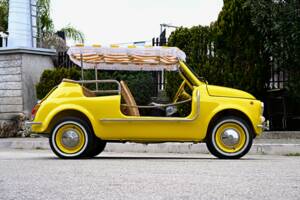 Image 37/45 of FIAT Ghia 500 Jolly (1971)