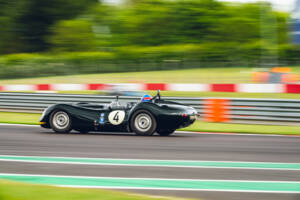 Image 2/34 of Lister Knobbly (2021)