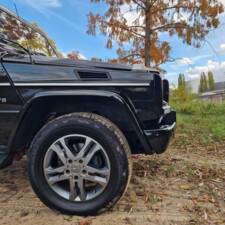 Immagine 15/92 di Mercedes-Benz G 500 Final Edition 200 (2013)