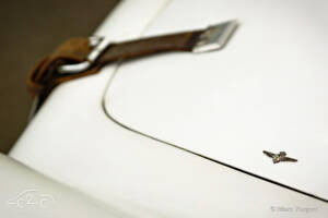 Image 27/55 of Alfa Romeo 2000 Spider (1959)