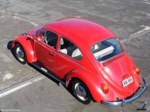 Imagen 10/171 de Volkswagen Käfer 1200 (1965)
