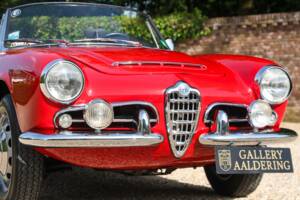 Bild 40/50 von Alfa Romeo Giulia 1600 Spider Veloce (1965)