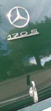 Bild 12/33 von Mercedes-Benz 170 S Cabriolet A (1950)