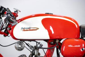 Immagine 42/50 di Aermacchi Ala Verde (1964)