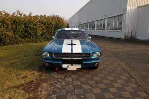 Bild 2/14 von Ford Shelby GT 350 (1966)