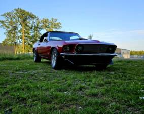 Bild 1/40 von Ford Mustang 351 (1969)